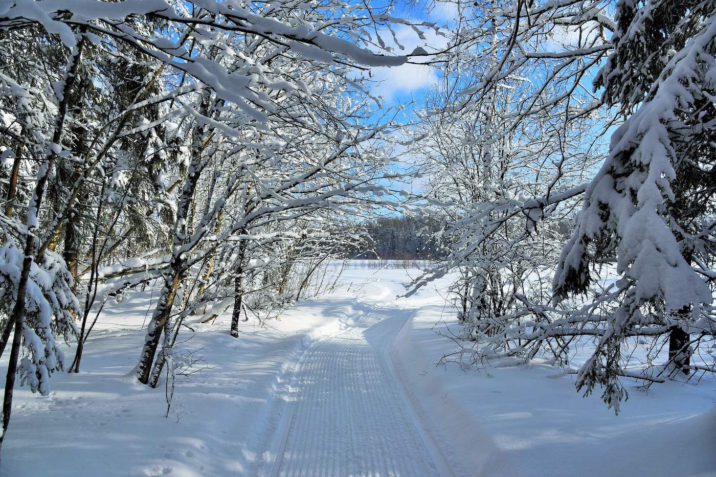 "За угол, как в белые ворота, светлой лентой убегает полотно..."