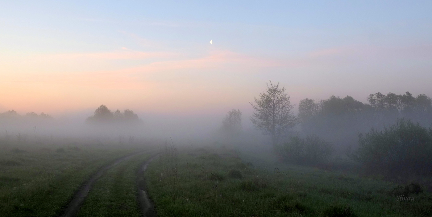 Дорога в туман.