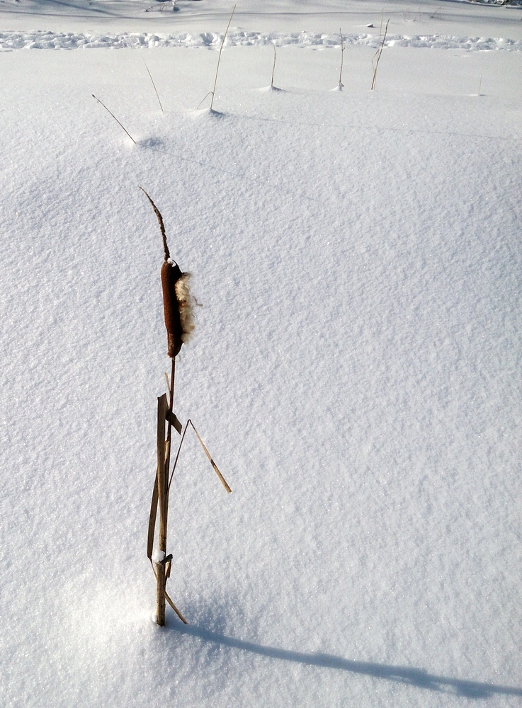 Первый парень на деревне...