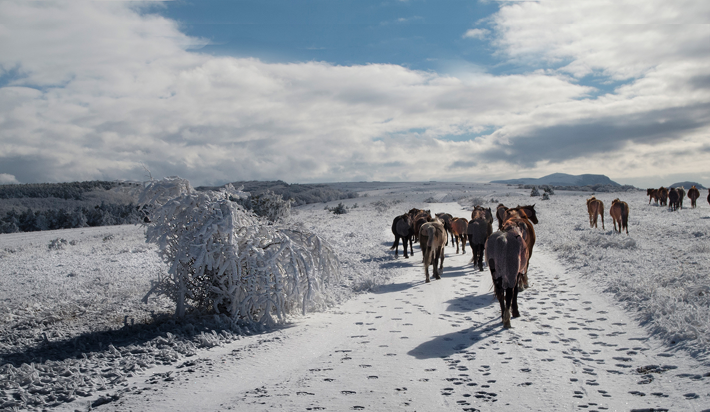 Февральские окна