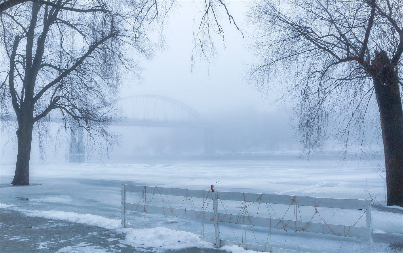 В СЕТЯХ ТУМАНА