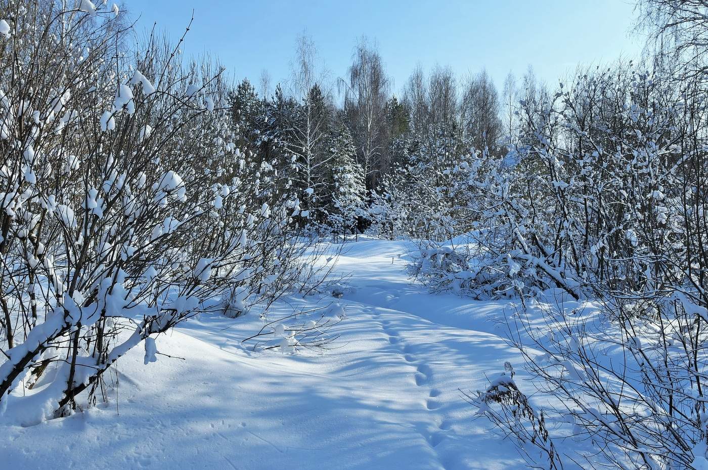 "Порою волк, сердитый волк, рысцою пробегал..."