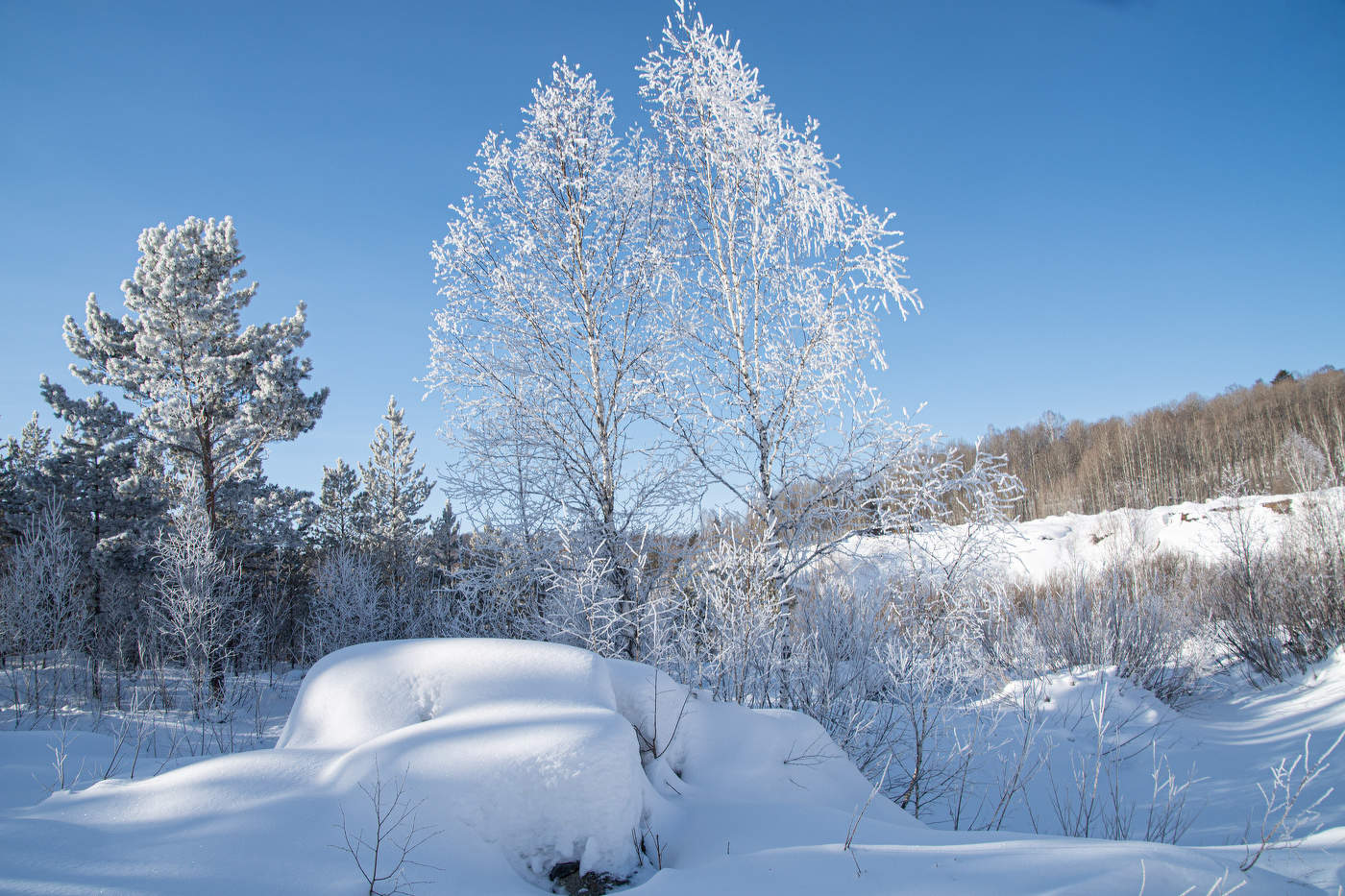 Две подружки !