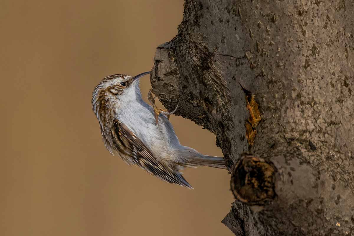Эй! Там есть кто нибудь?