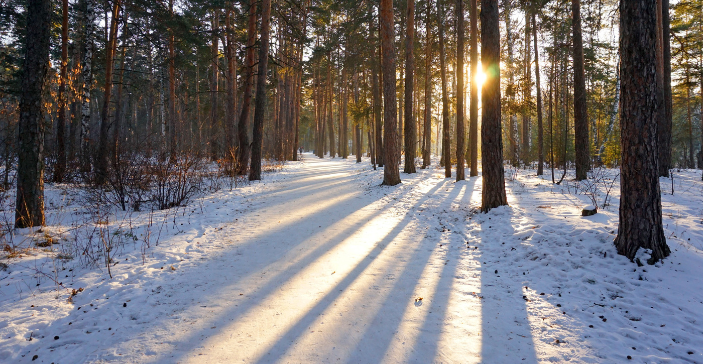 Зимним воздухом дыша...
