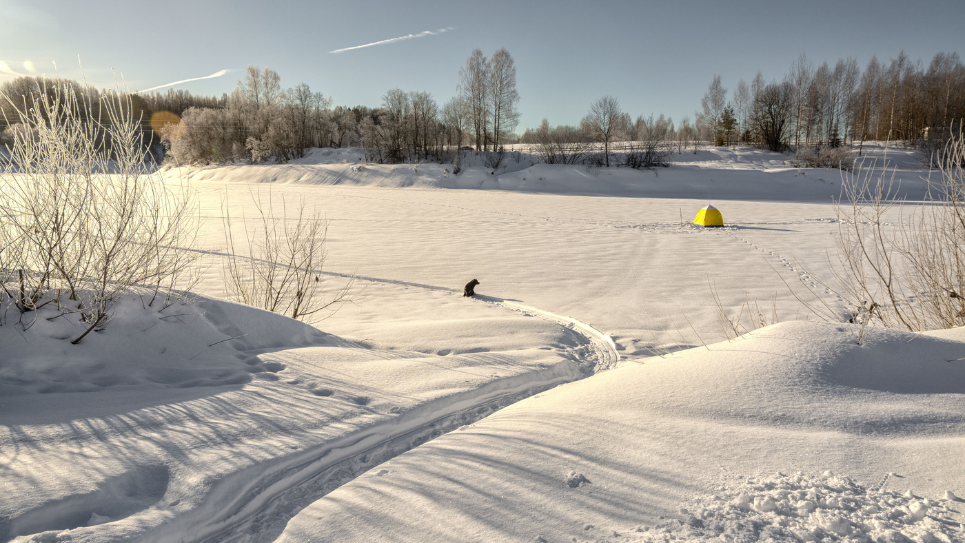 Жизнь вокруг