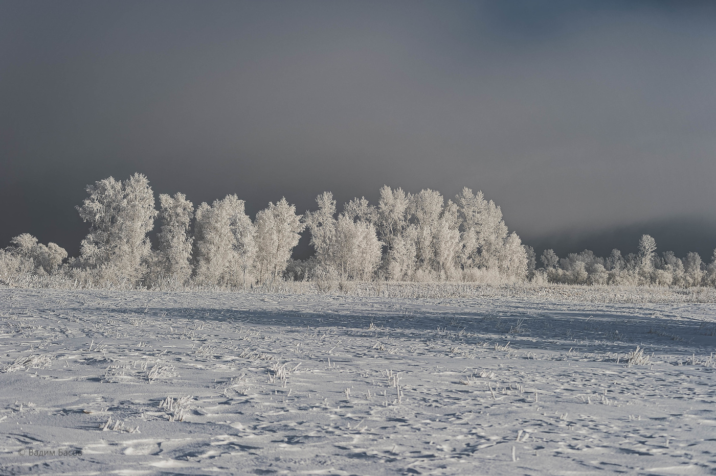 Разгулялась зима.