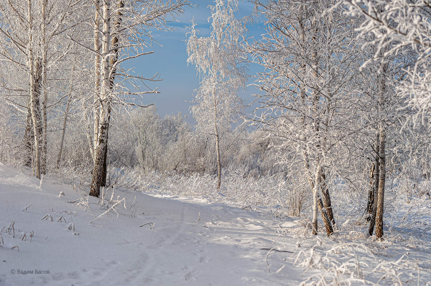 В зимнем наряде...