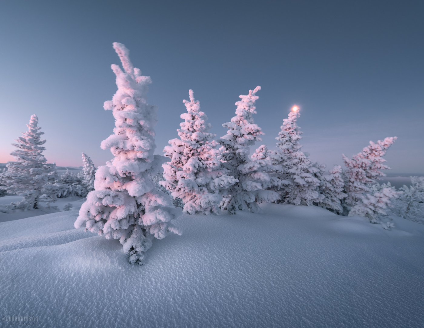 В очереди за рассветом
