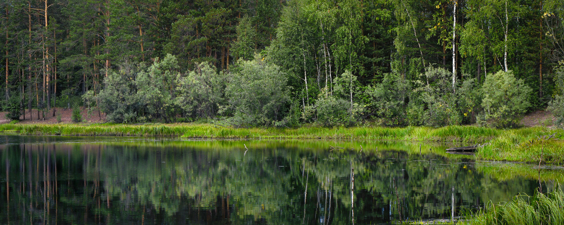коротенькое северное лето...