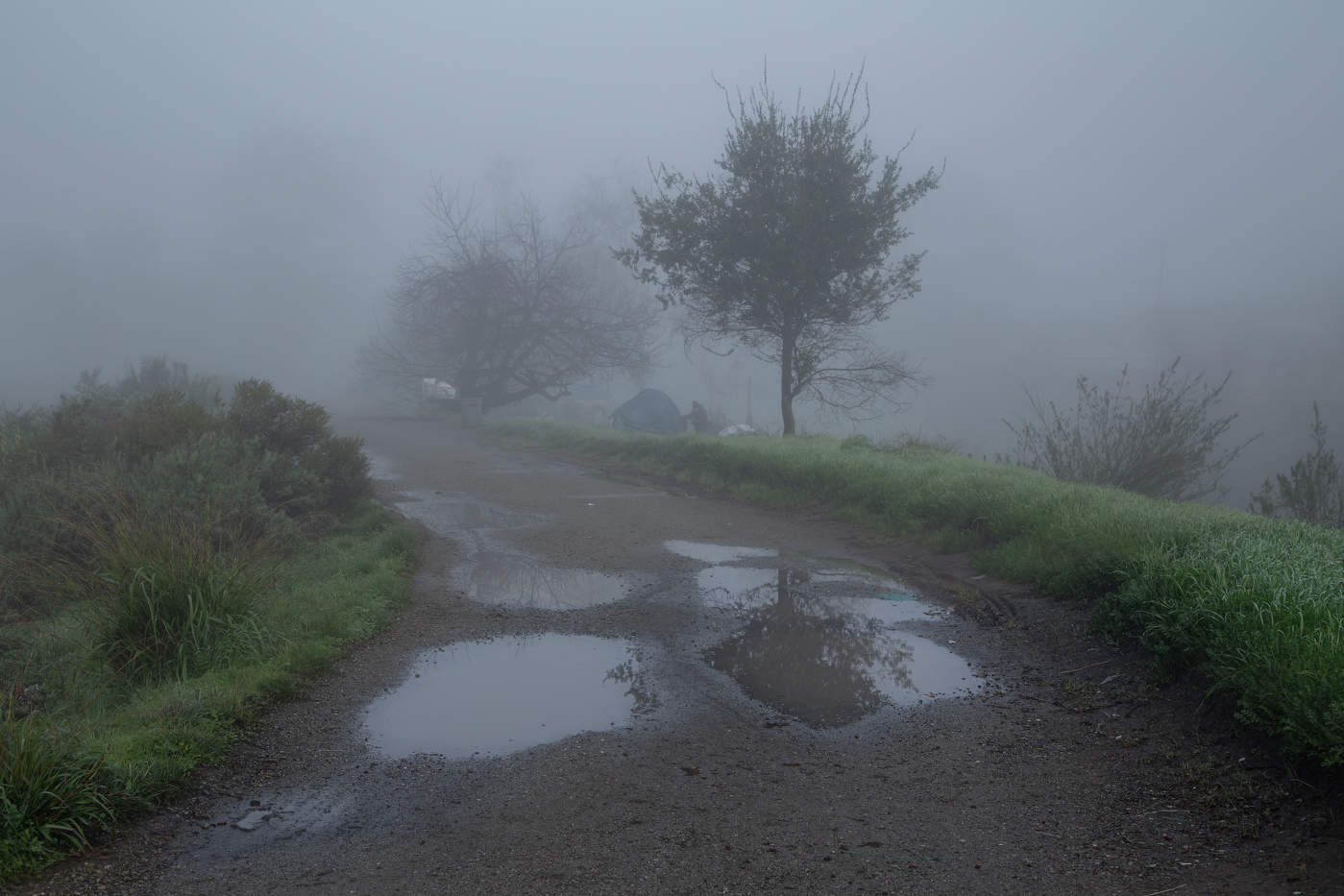 Утренний туман