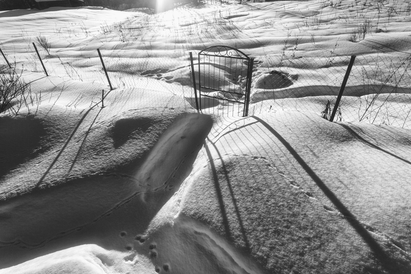 Жизнь вокруг