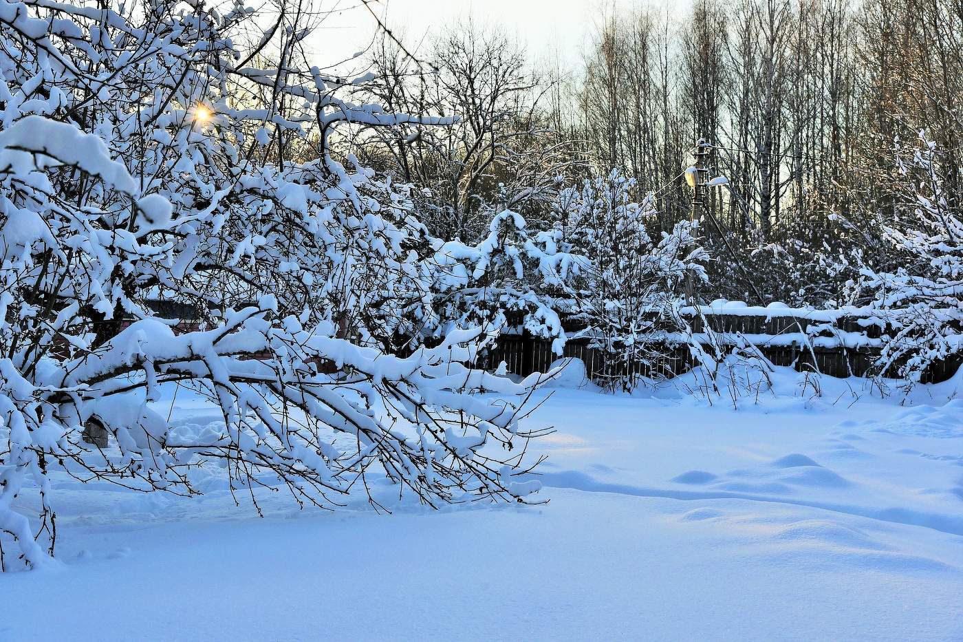Вечерний этюд ...
