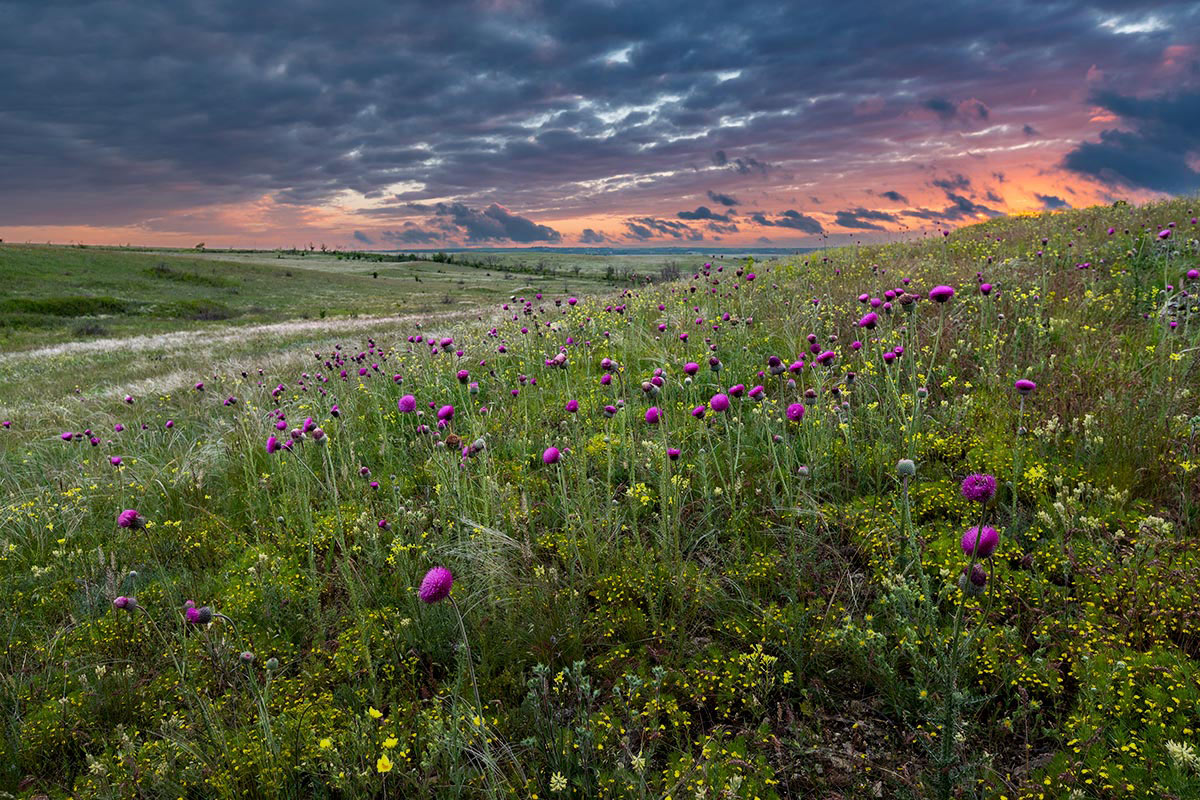 После дождей