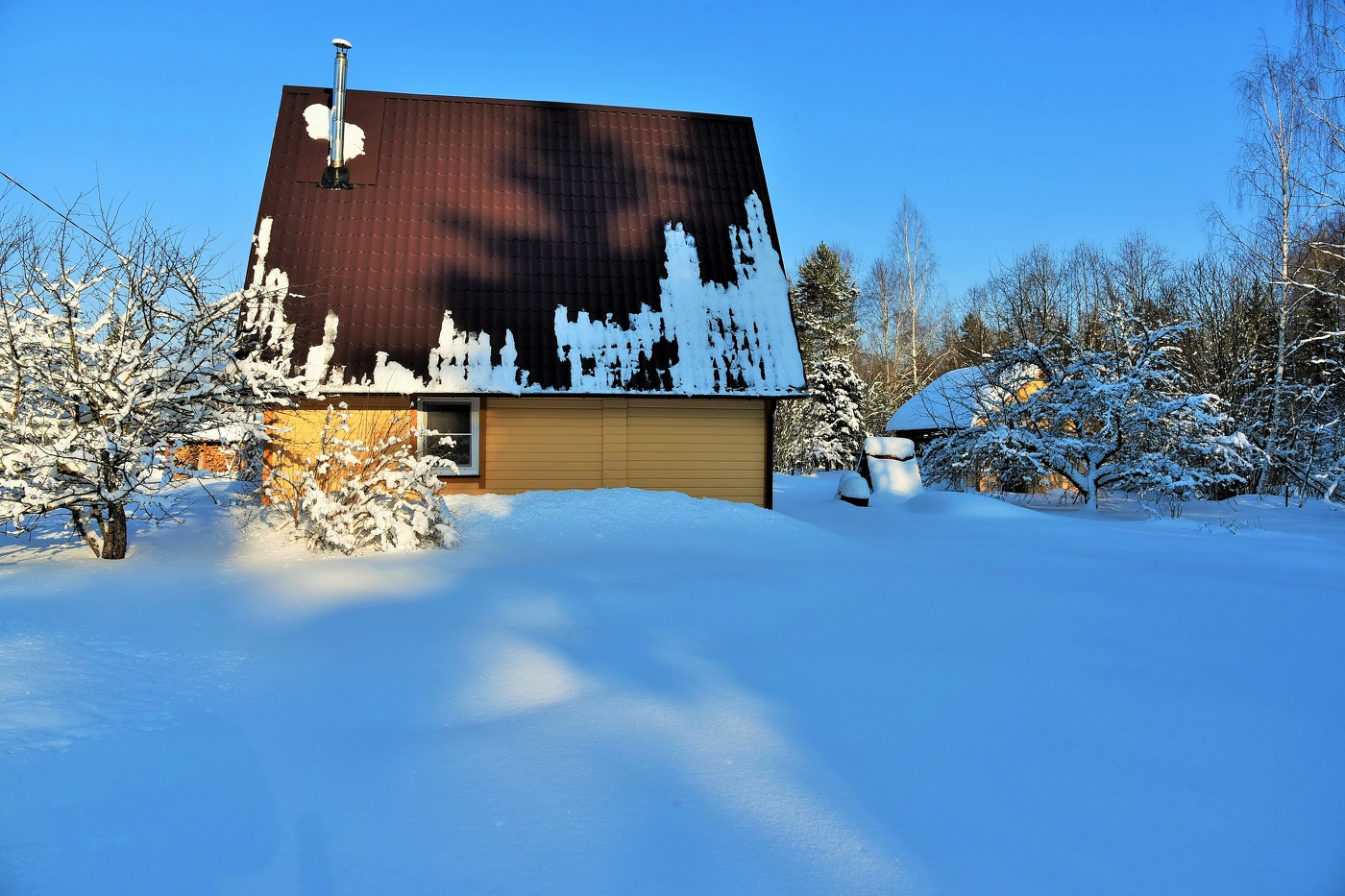 Дачная элегия ...