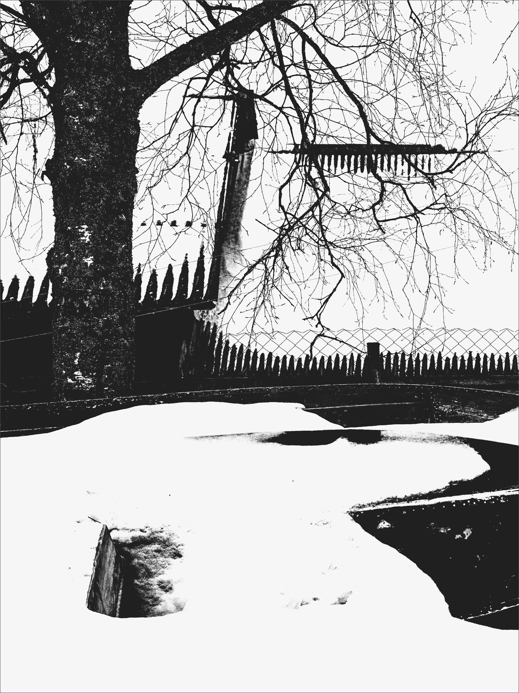 Жизнь вокруг