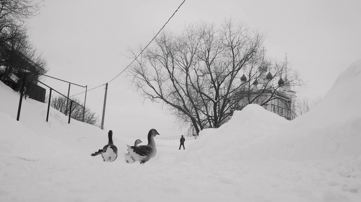 "жили у бабуси..."