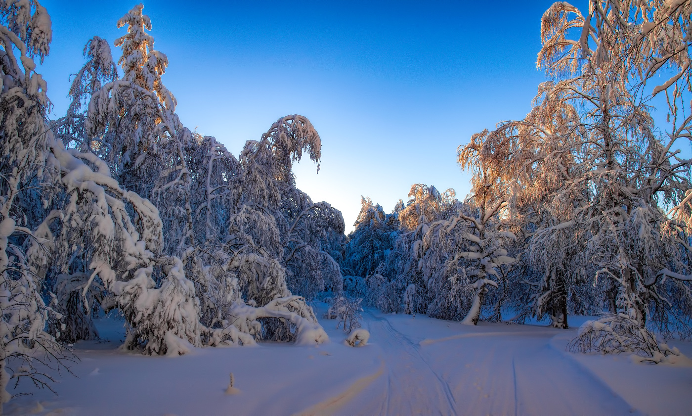 На перепутье