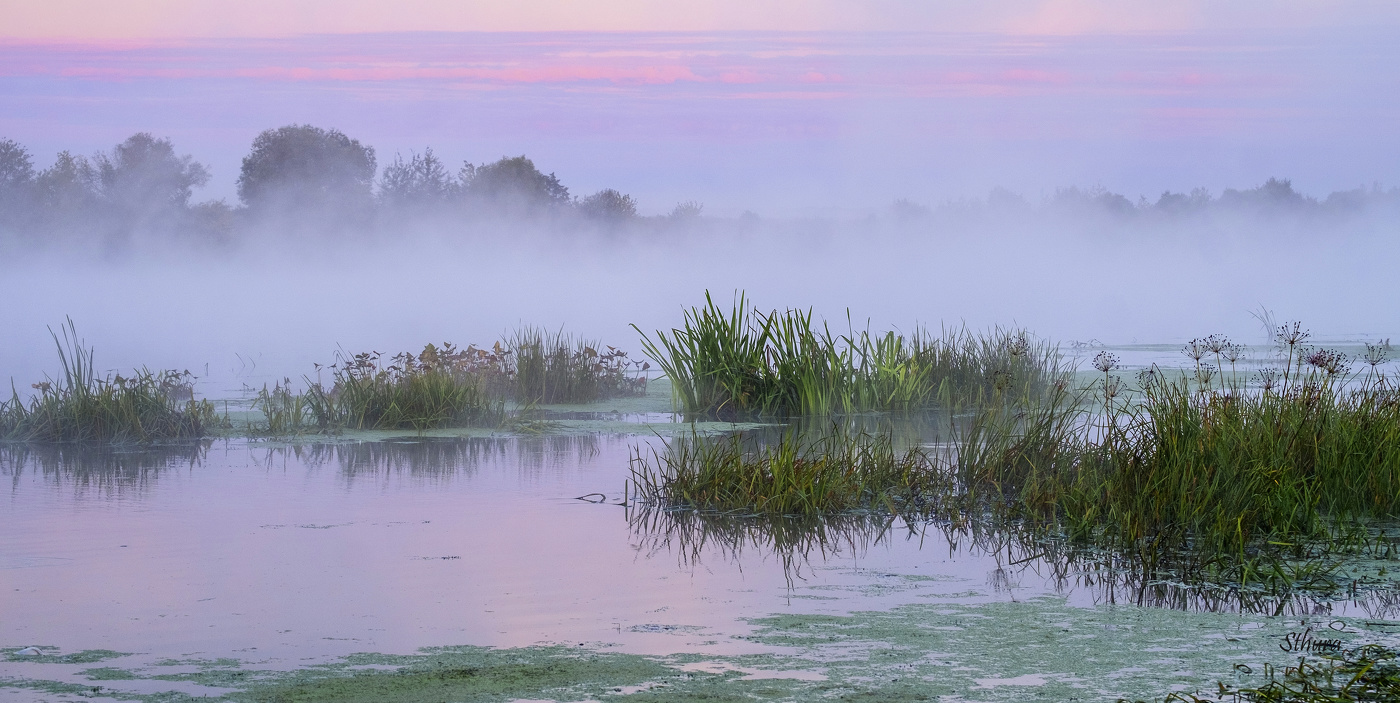 Утро на Оке.