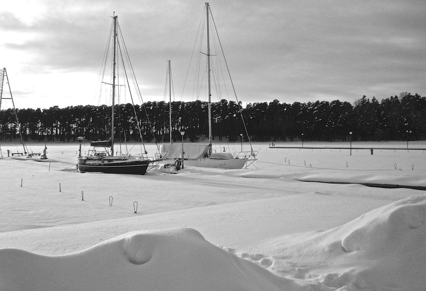 Прозимовали II