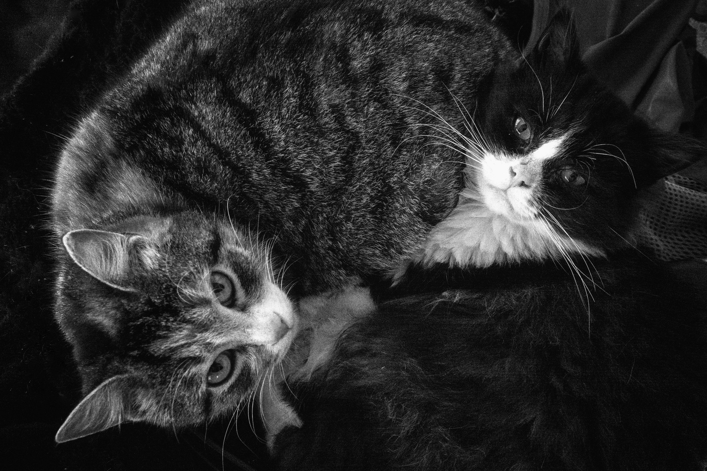 Жизнь вокруг