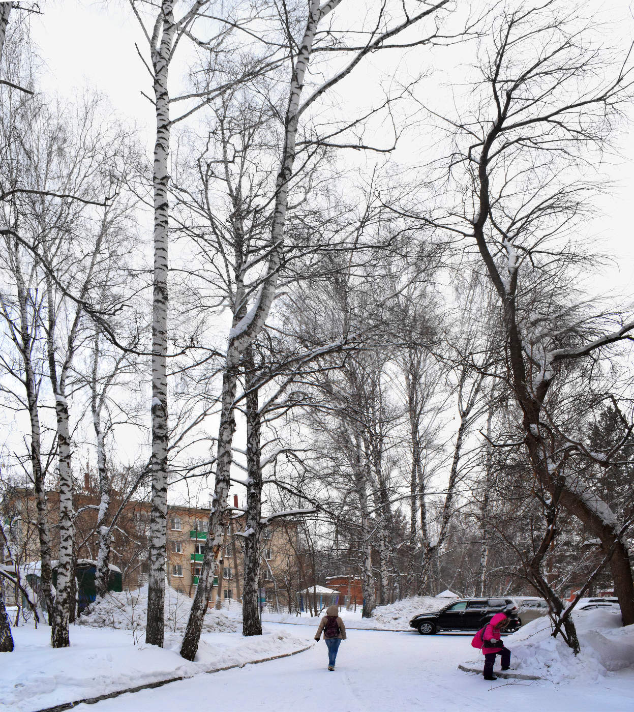 Зимние будни