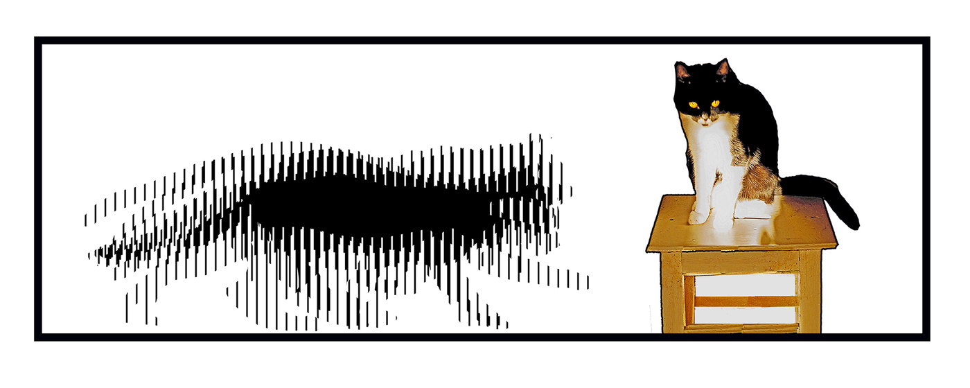 Кот и кошка.