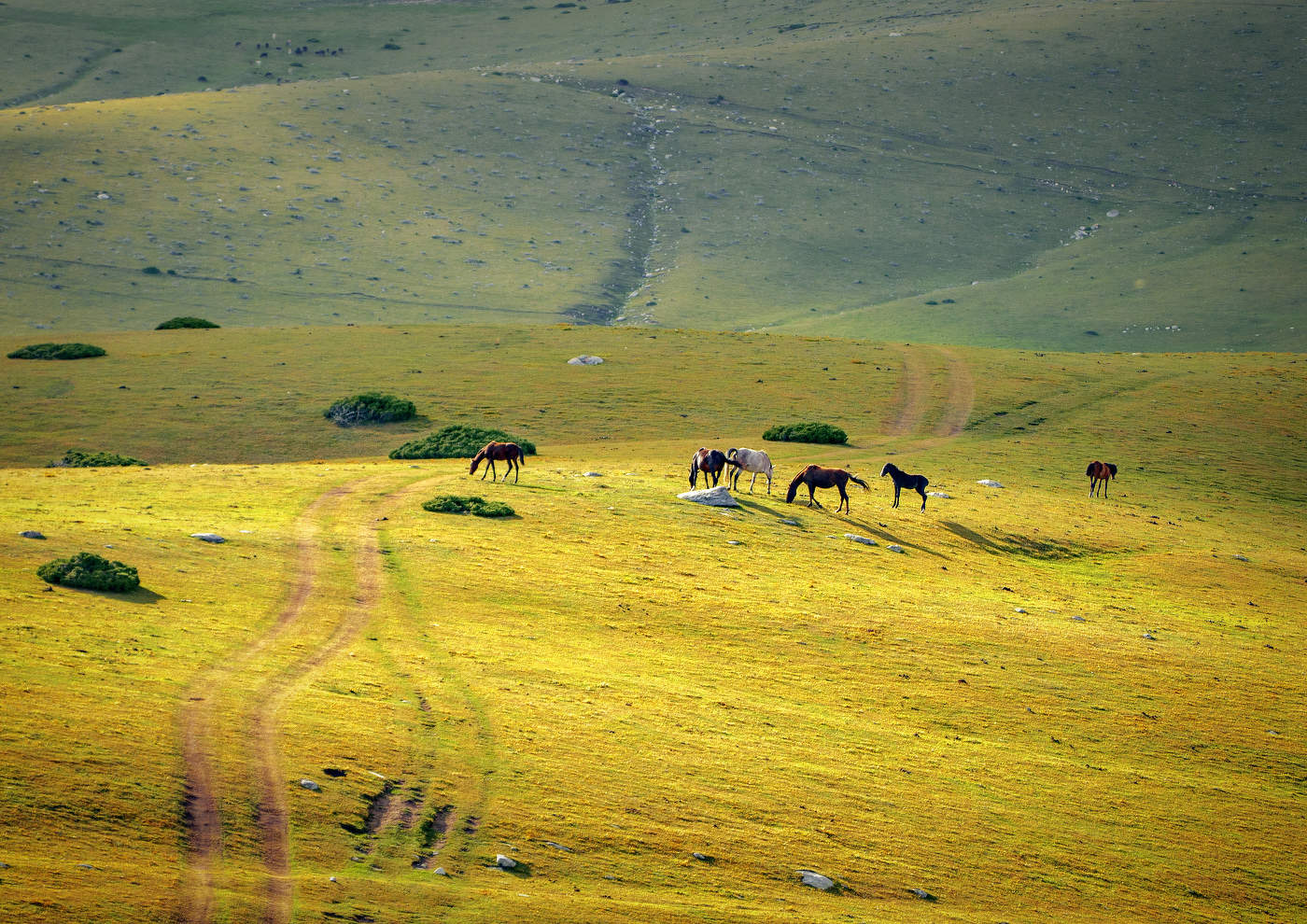 У горной дороги