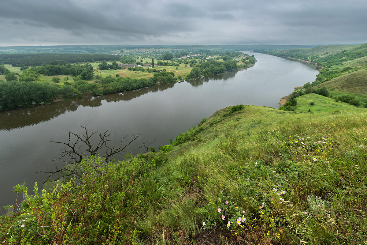 Донец у хутора Поцелуева