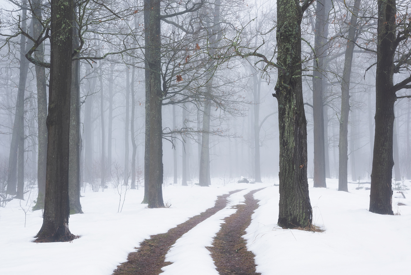 По зимней дороге