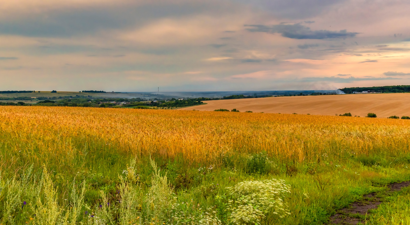 Нам летний вечер будет сниться.