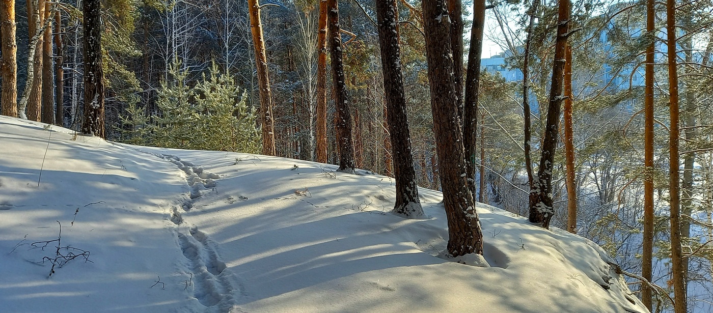 утро февральское
