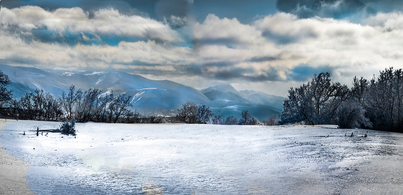 Снежная белизна