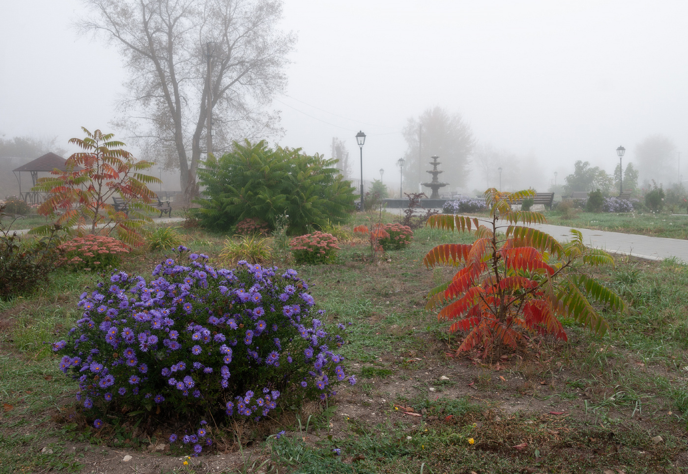 Утро в октябре