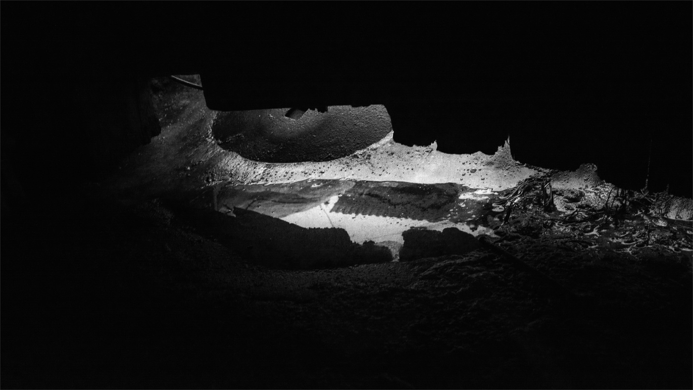 Жизнь вокруг