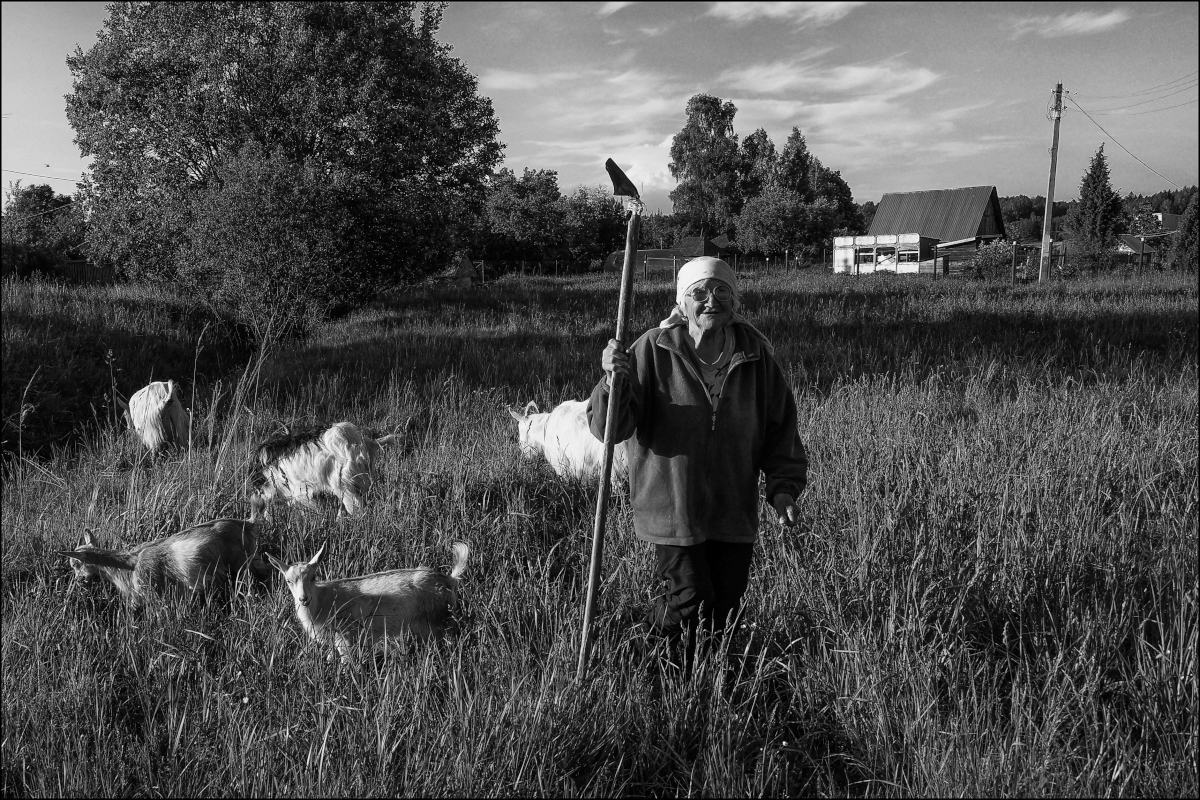 флешмоб на тему «Труд/работа». (№ 4)