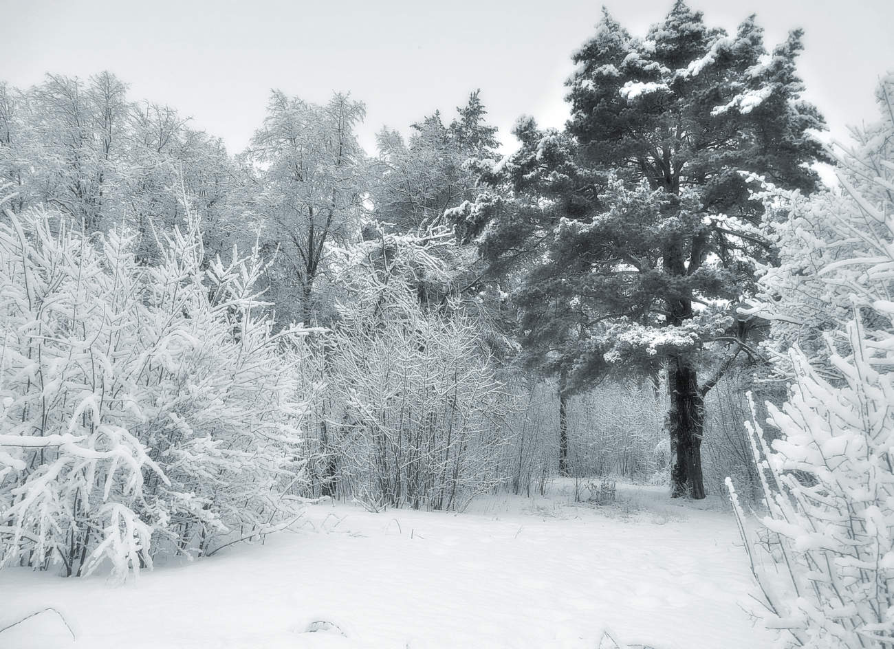 Снежный февраль