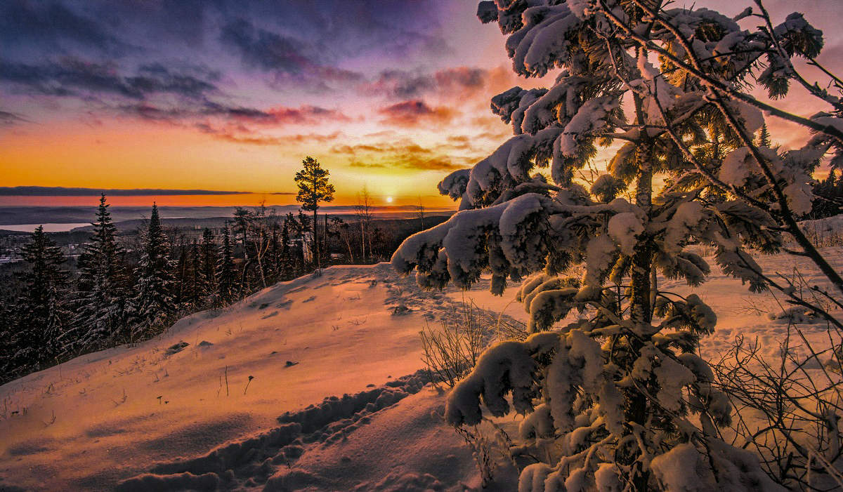 Тропинка к солнцу