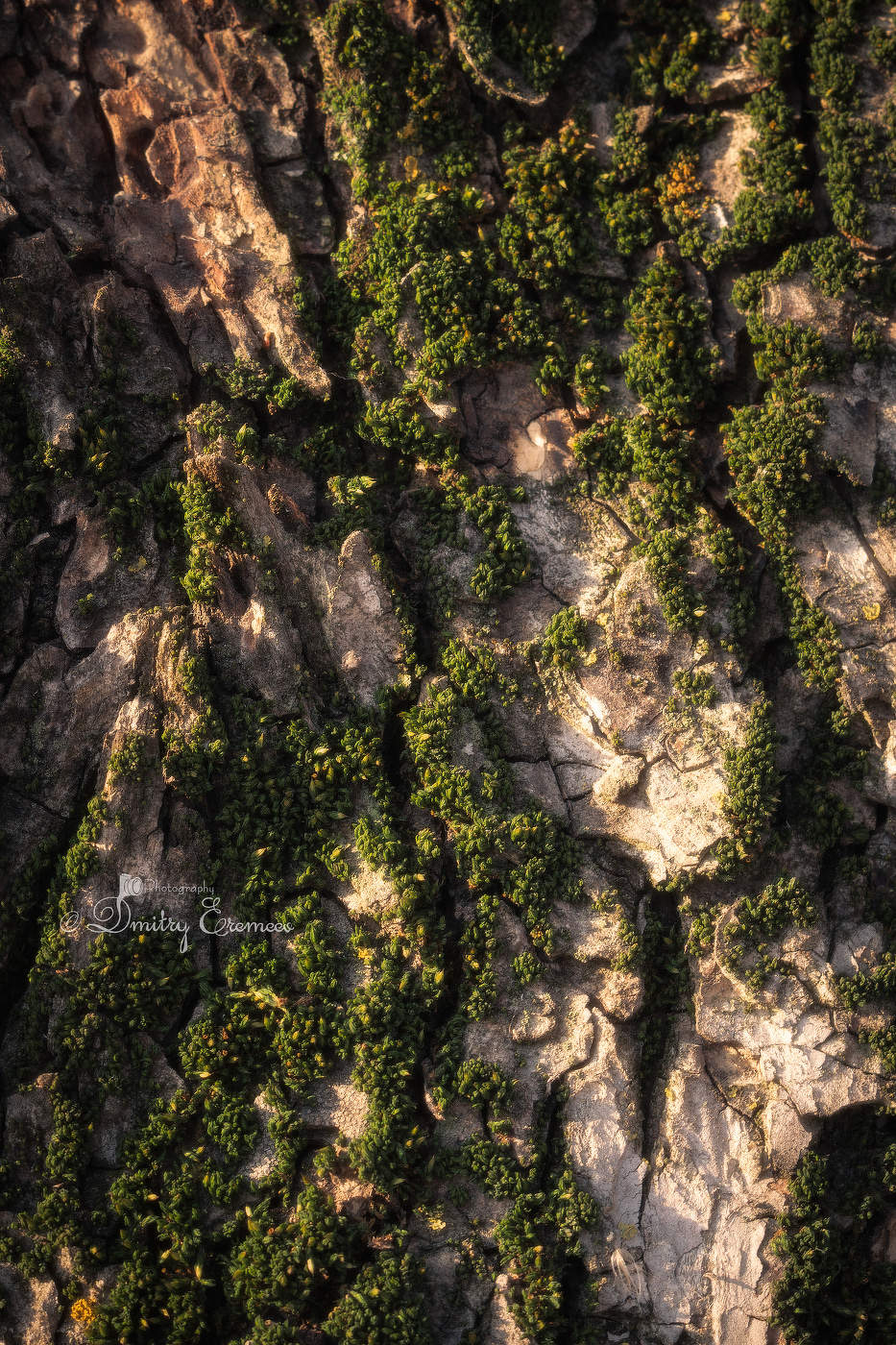 Высоко лечу...