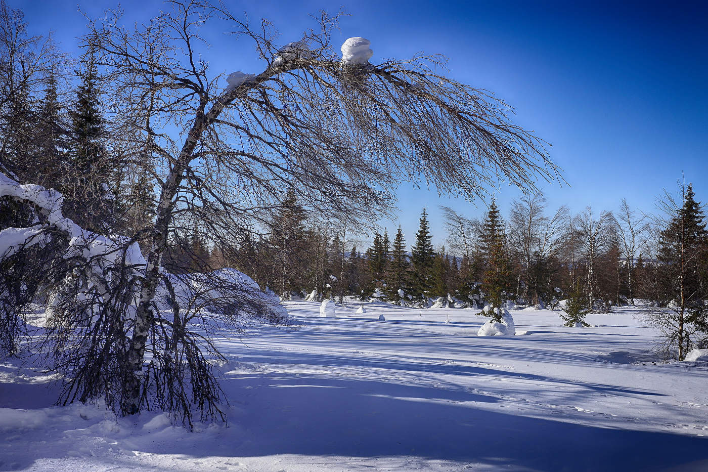Весна уж скоро