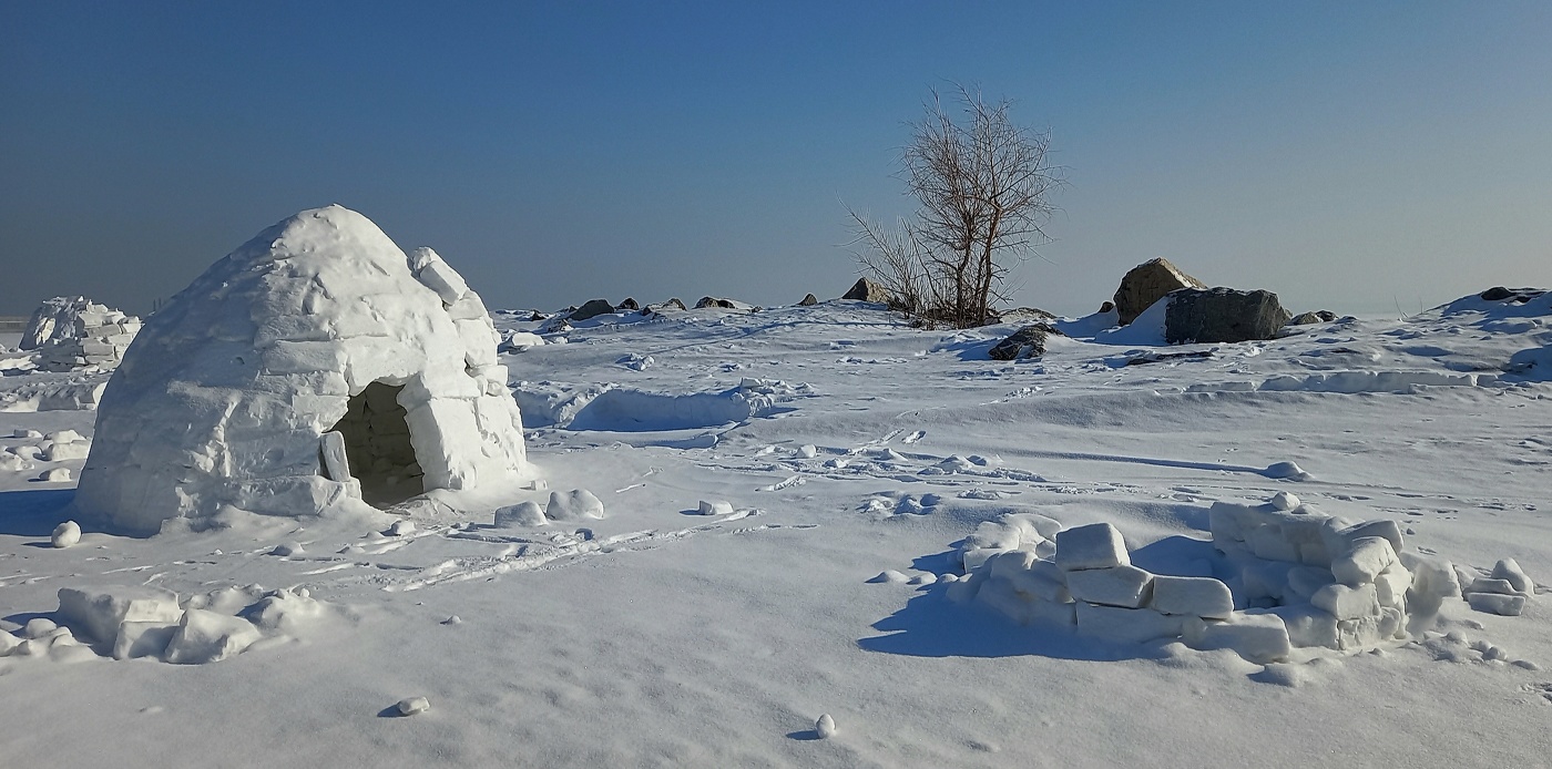 что нам стоит дом построить