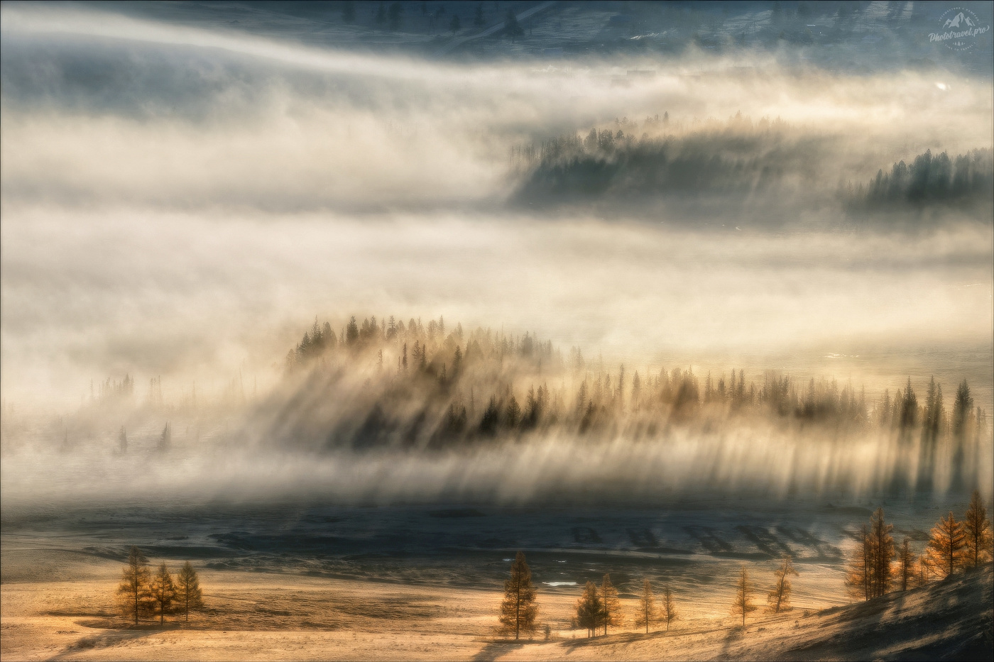 Утро в Курайской степи