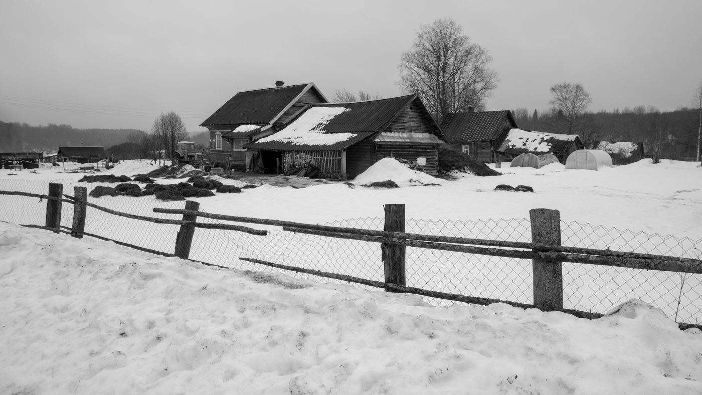 Жизнь вокруг