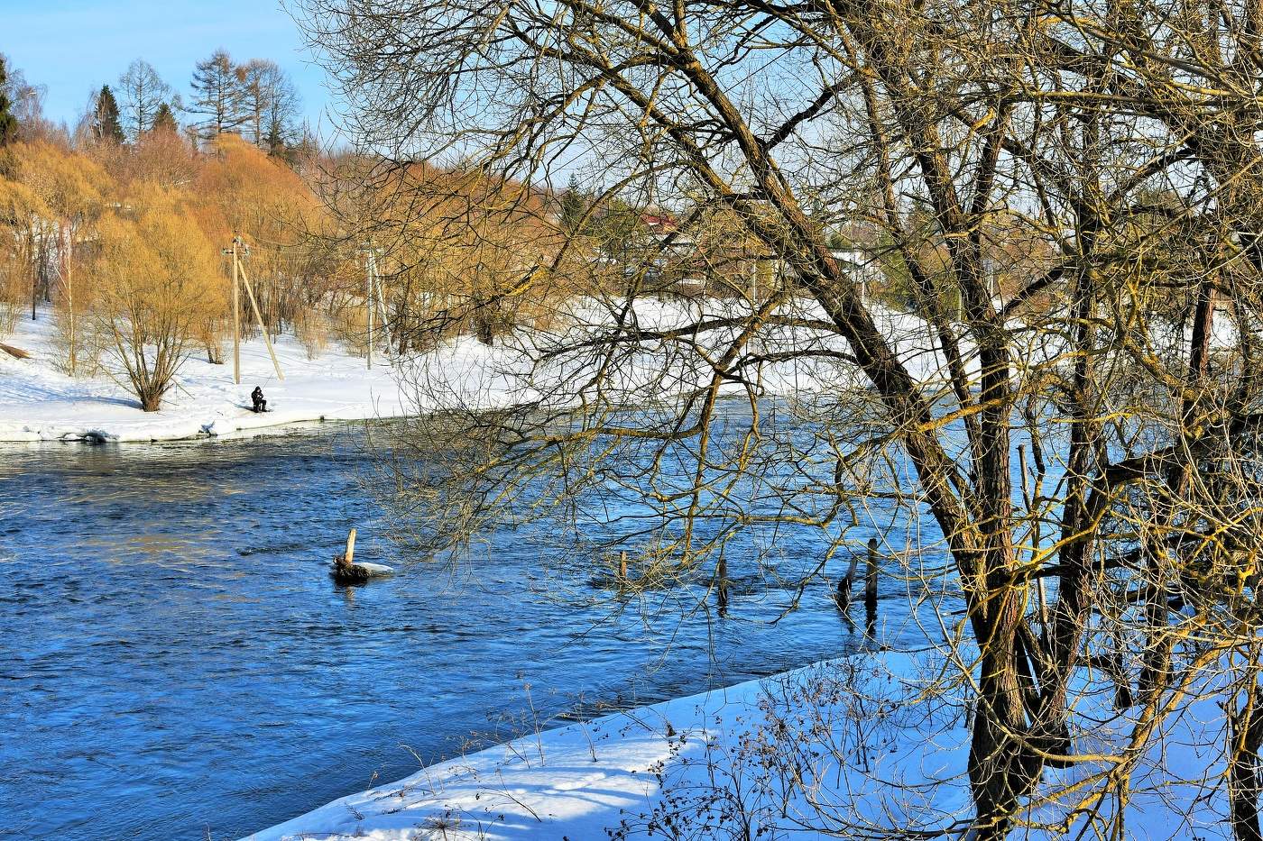 Последние денечки февраля ...