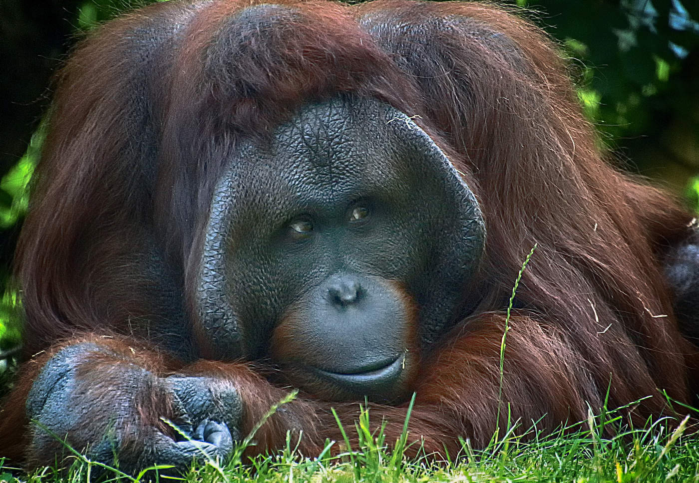 в ожидании Настеньки