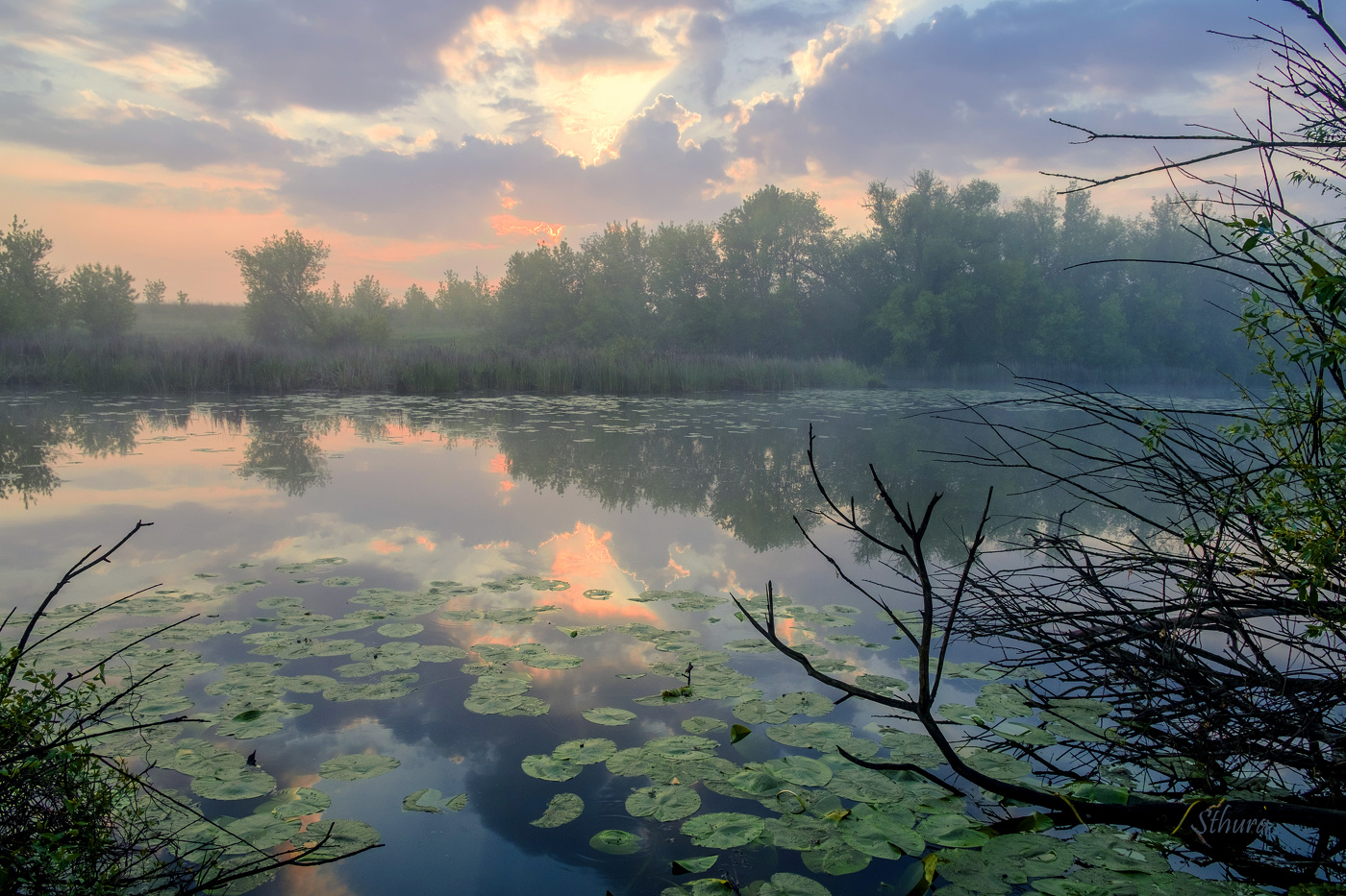 В туманной дымке.