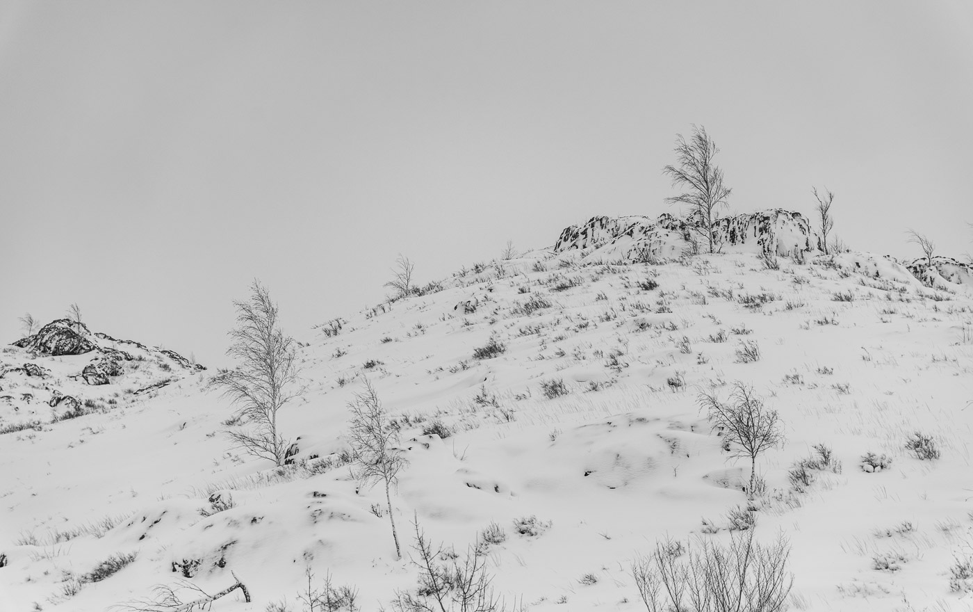 Бесцветная зима