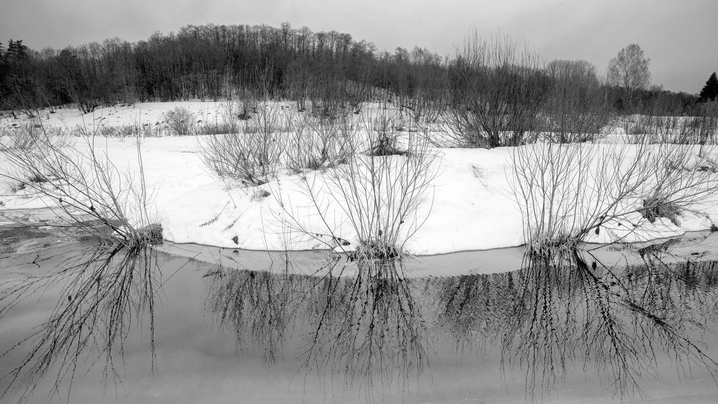 Жизнь вокруг