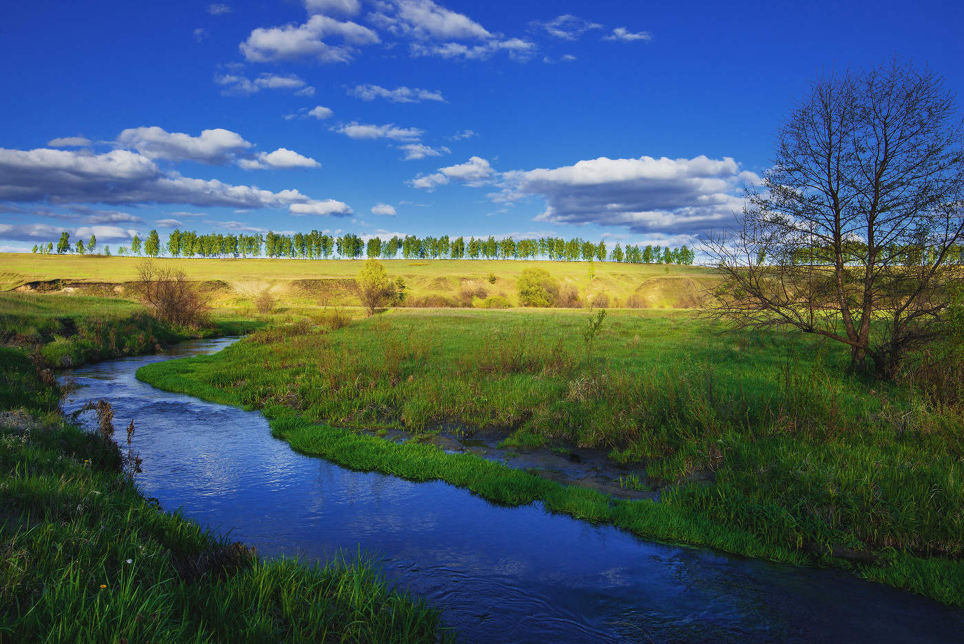 Речка Холмогорка...