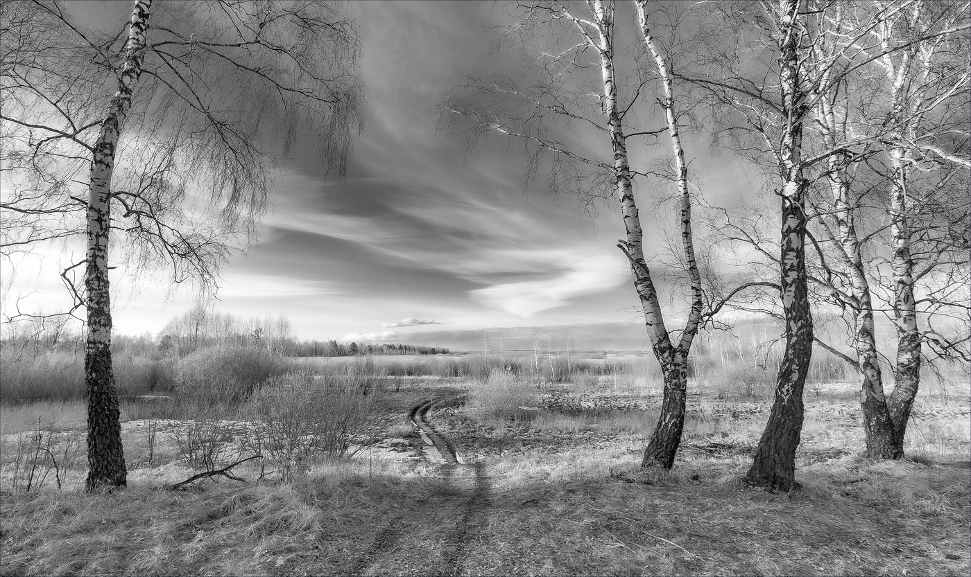 ДАЛЬ БЕЗБРЕЖНАЯ МАНИТ...